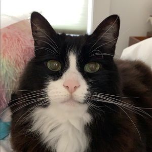 Meet your Posher, Heather